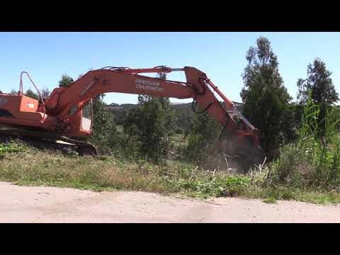 Como Solicitar Apoio da Câmara Municipal para Limpeza de Mata