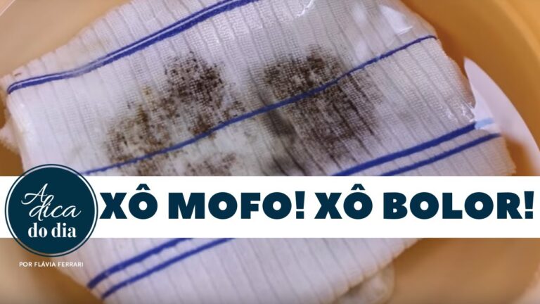 M&eacute;todos Eficazes para Remover Manchas de Bolor