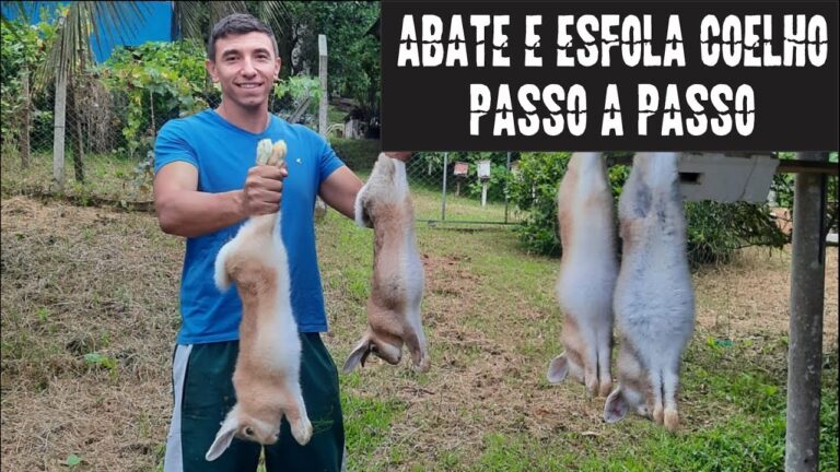 Guia Pr&aacute;tico: Como Matar e Limpar Coelho Eficazmente