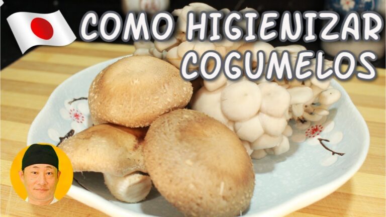 Como Limpar Cogumelo Shimeji de Forma Eficiente