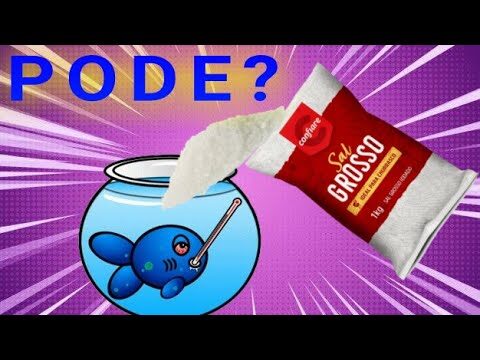 Como Limpar o Fungo com Iodo em Peixes de Aqu&aacute;rio