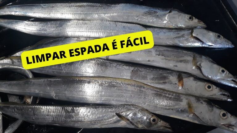 Guia Prático para Limpar Peixe Espada Preto