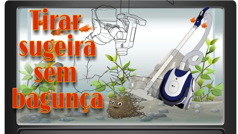 Guia Pr&aacute;tico para Limpar o Fundo do Aqu&aacute;rio