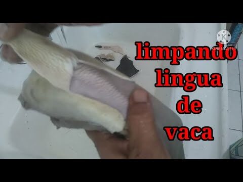 Como Limpar Língua de Vaca: Dicas e Vídeos Úteis