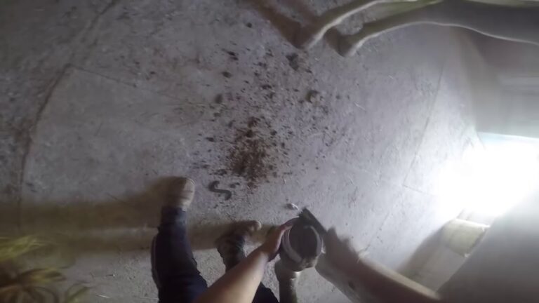 Guia Prático para Limpar Casco de Carvalho