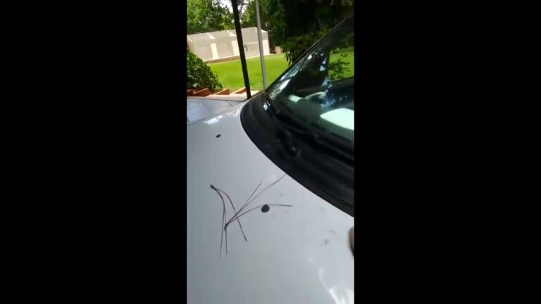 Guia Prático: Como Limpar Resina do Carro Eficazmente