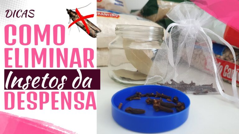 Dicas Eficazes para Limpar a Dispensa com Limpar a Dispensa.com