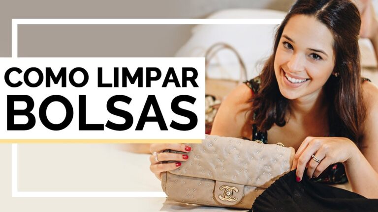 Guia Pr&aacute;tico: Como Limpar uma Bolsa de Senhora Passo a Passo