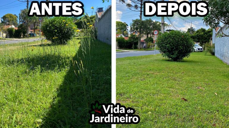 Guia Prático para Limpar Jardins Infestados de Ervas daninhas