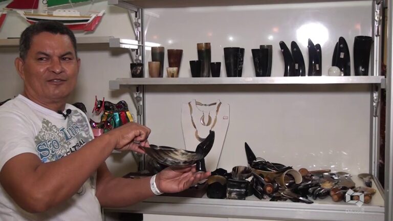 Guia Pr&aacute;tico para Limpar Cornos de Animais