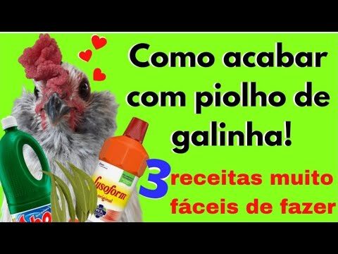 Como Eliminar Piolhos no Galinheiro de Maneira Eficiente