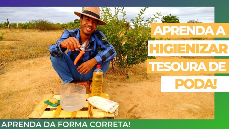 Dicas Eficazes para Limpar Tesouras de Poda