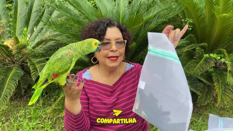 Dicas Pr&aacute;ticas para Limpar e Conservar Penas