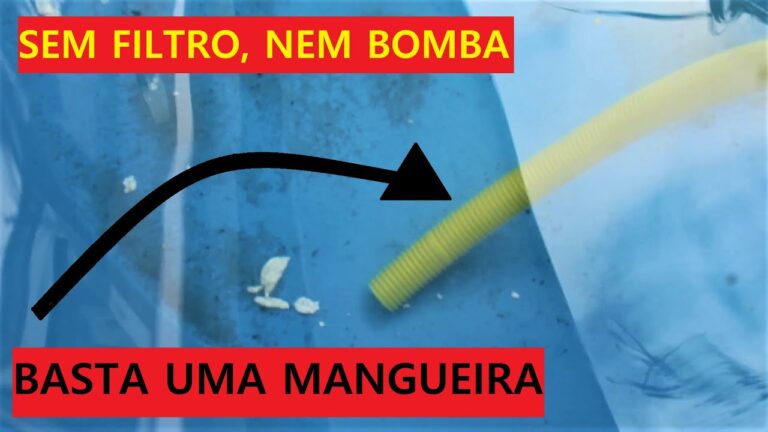 Limpeza Eficiente de Piscinas de Tela com Máquina de Pressão