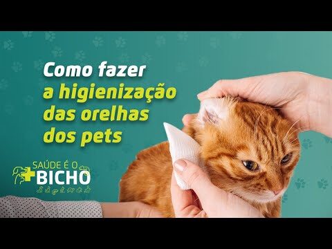 Como Limpar as Orelhas do Gato de Forma Segura e Eficiente