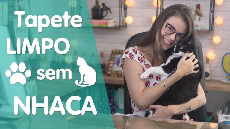 Guia Prático para Limpar Tapetes Vomitados