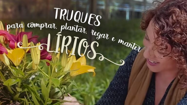Dicas Práticas para Limpar Lírios no Jardim