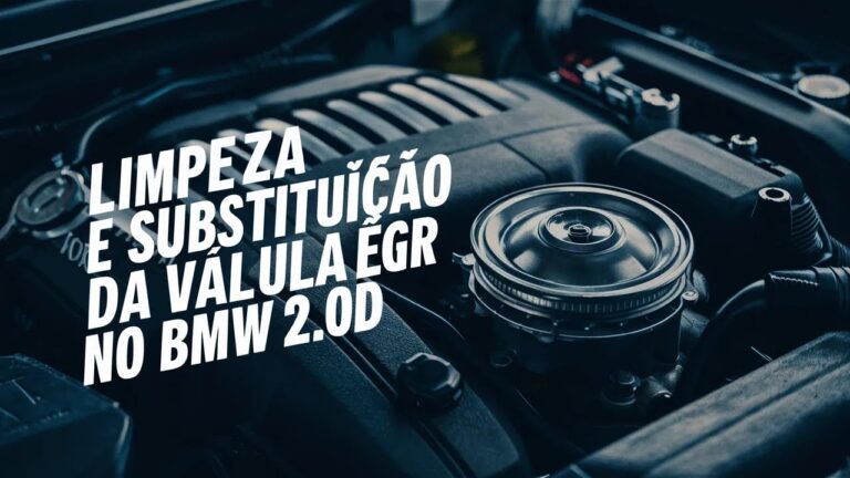 Guia Prático para Limpar a EGR da BMW E91