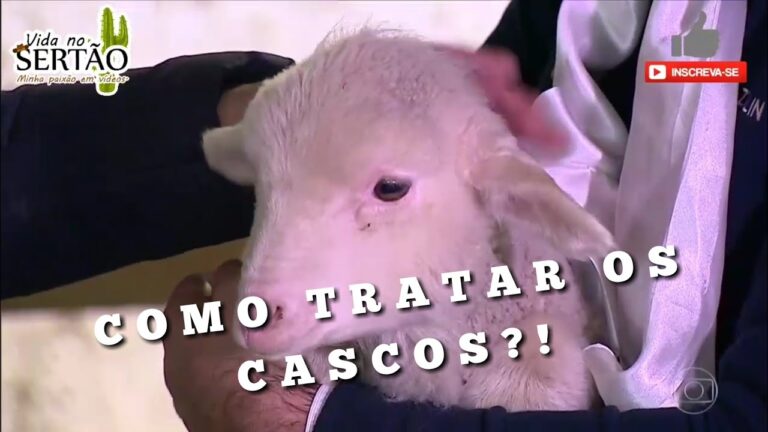 Limpeza Eficiente: Como Usar a Desbarbadeira para Limpar os Pés