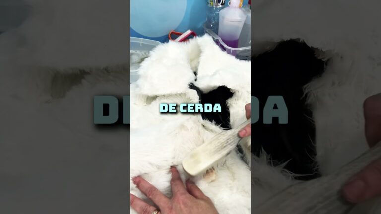 Guia Prático para Limpar Casacos com Pelo