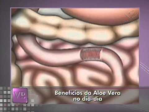 Desintoxica&ccedil;&atilde;o Natural: Benef&iacute;cios do Aloe Vera para o Corpo