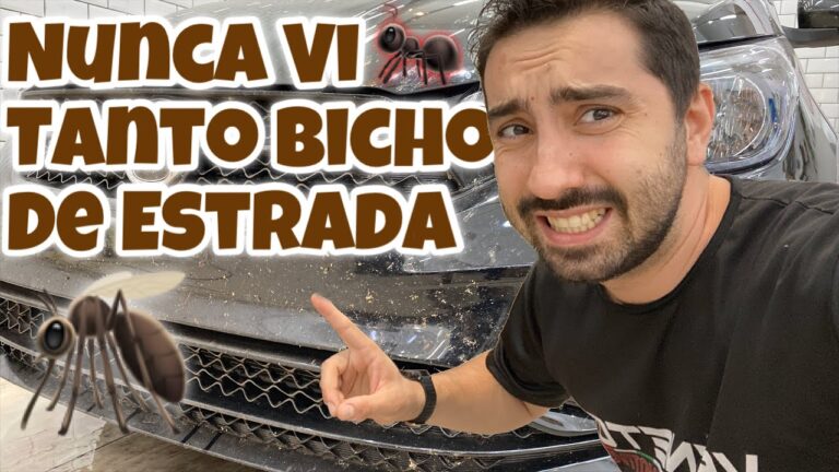 Dicas Eficazes para Remover Fezes de P&aacute;ssaros dos Autom&oacute;veis