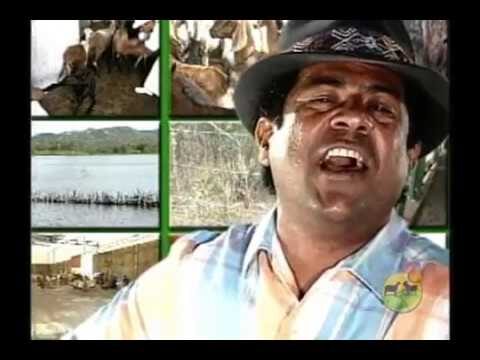 Guia Prático: Como Limpar Pele de Caprino Eficientemente