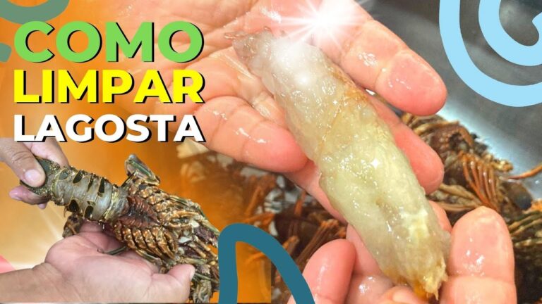Como Limpar Lagosta Congelada de Forma Eficiente