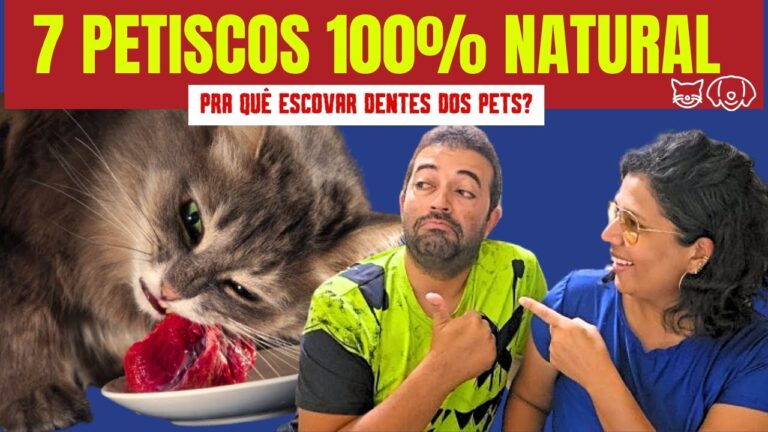 Melhores Alimentos para Remover T&aacute;rtaro em Gatos