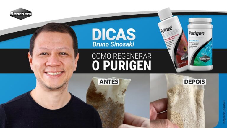 Guia Prático: Como Limpar Purigen Eficazmente