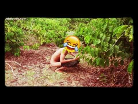 Menino e a Folha com Taturana: Uma Experi&ecirc;ncia Inusitada