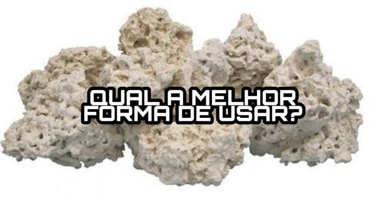 Guia Pr&aacute;tico para Limpar Coral Morto