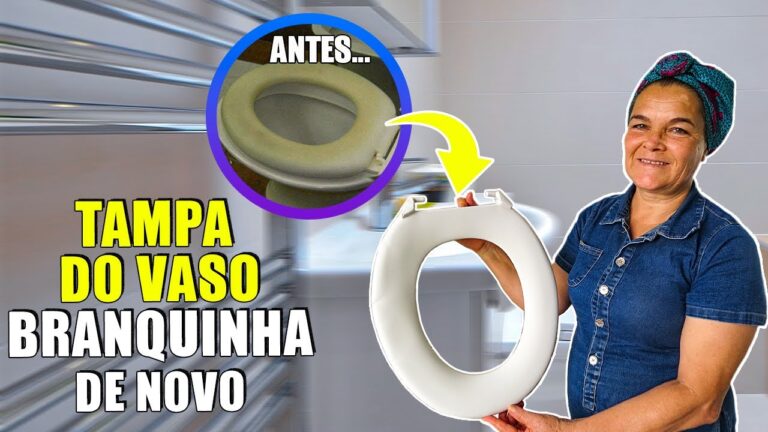 Métodos Eficazes para Limpar o Assento do Vaso Sanitário
