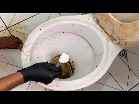 M&eacute;todos Eficazes para Limpar Sanitas Encardidas