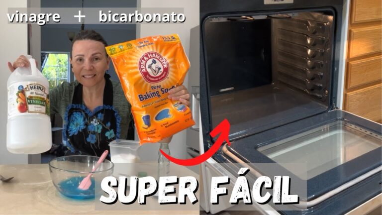 Limpeza Eficiente de Forno Sujo com Produtos Naturais