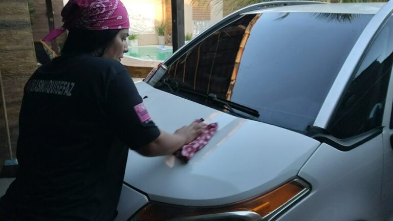 Dicas Eficazes para Remover Manchas do Cap&ocirc; do Carro