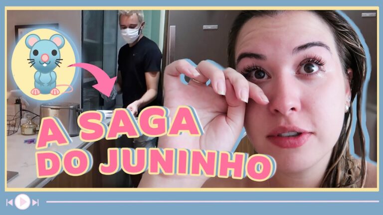 Significado de Sonhar com Rato Limpo: Interpretações e Simbolismos