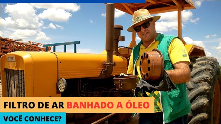 Guia Pr&aacute;tico: Como Limpar Filtro de Ar Banhado a &Oacute;leo