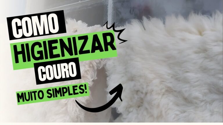 Métodos Eficazes para Limpar Carpete de Pele de Vaca com Umidade