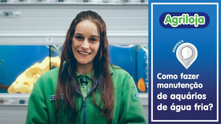 Guia Pr&aacute;tico para Limpar Aqu&aacute;rios de Peixes de &Aacute;gua Fria