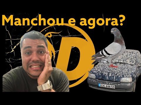 Métodos Eficazes para Limpar Dejetos de Pombos