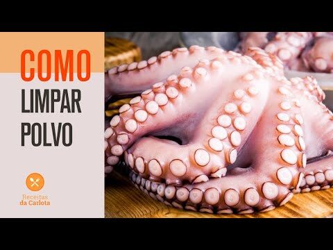 Dicas Práticas para Limpar Tentáculos de Pota com Garras
