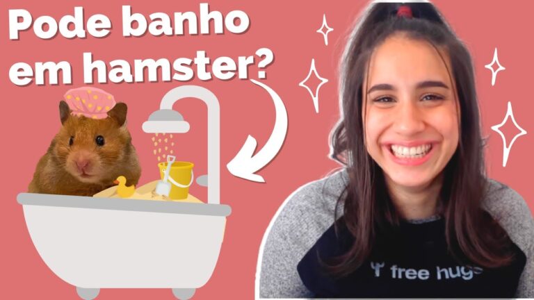 Guia Pr&aacute;tico para Limpar Hamsters Siberianos