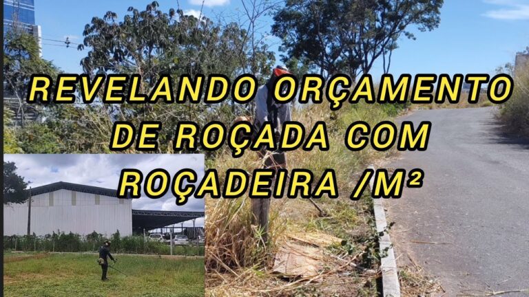 Limpeza Eficiente de Terreno de 5000m&sup2; com Ro&ccedil;adeiras