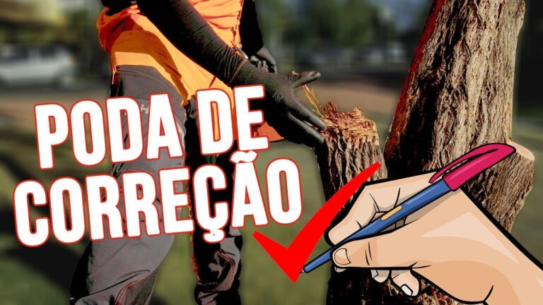 Guia Prático para Podar Limpa Garrafas