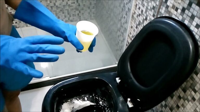 Dicas Eficazes para Limpar Louça Sanitária Preta