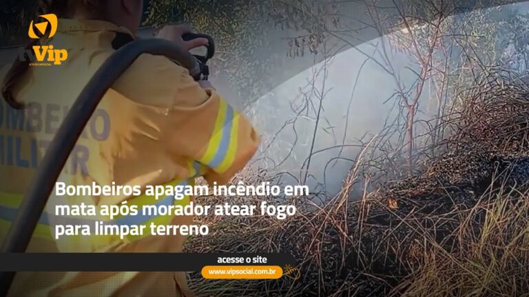 Como Limpar uma Mata Ap&oacute;s um Inc&ecirc;ndio
