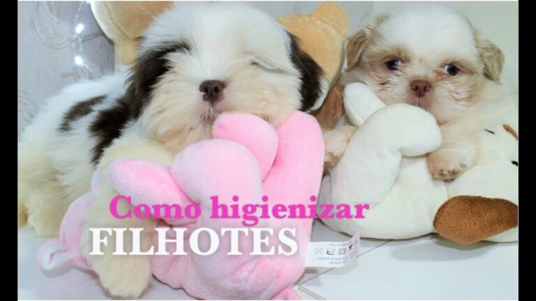 Guia Prático para Limpar Cachorros Bebês