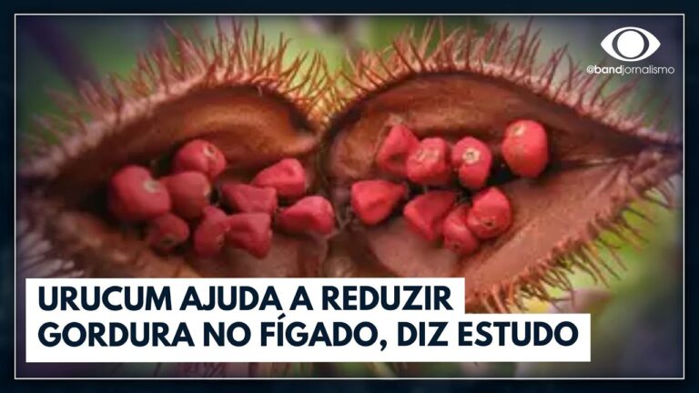 Limpeza do F&iacute;gado com Rem&eacute;dios Caseiros