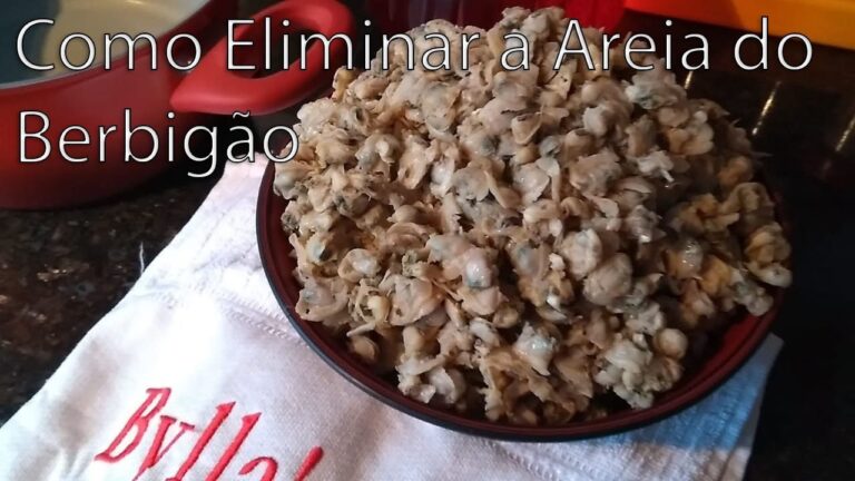 Como Limpar Berbigão Após a Apanha
